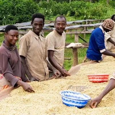 Burundi Kayanza Rumanda