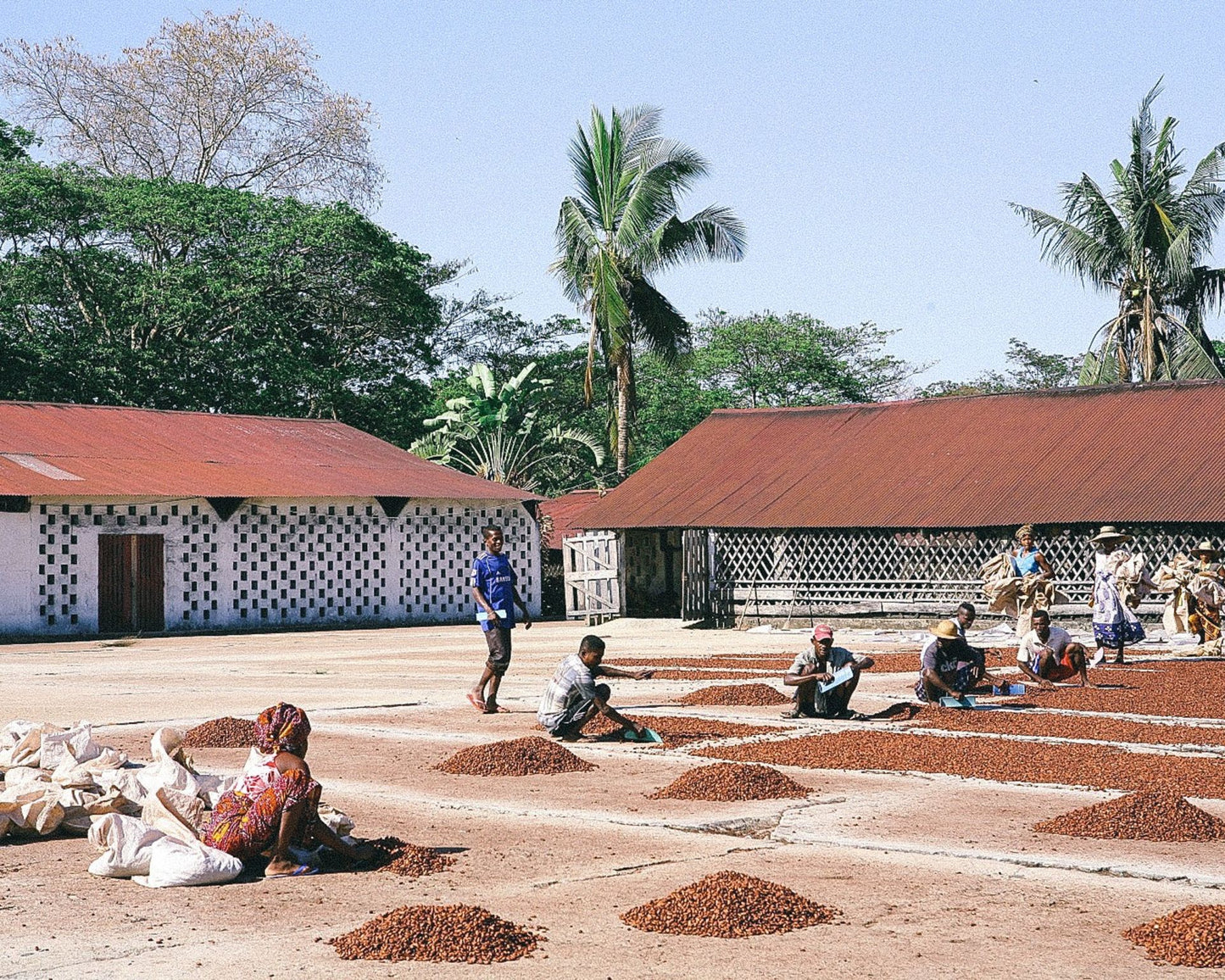 Madagaskar Nitelikli Çikolata 100gr