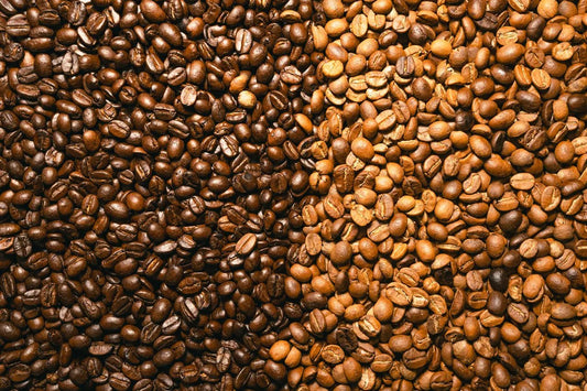 Light - Dark Roast Kahve Kavurma
