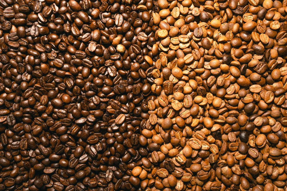 Light - Dark Roast Kahve Kavurma