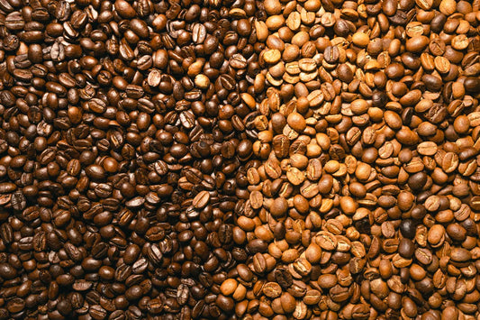 Light - Dark Roast Kahve Kavurma