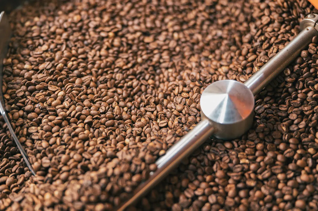 Single Origin Kahve mi Blend mi