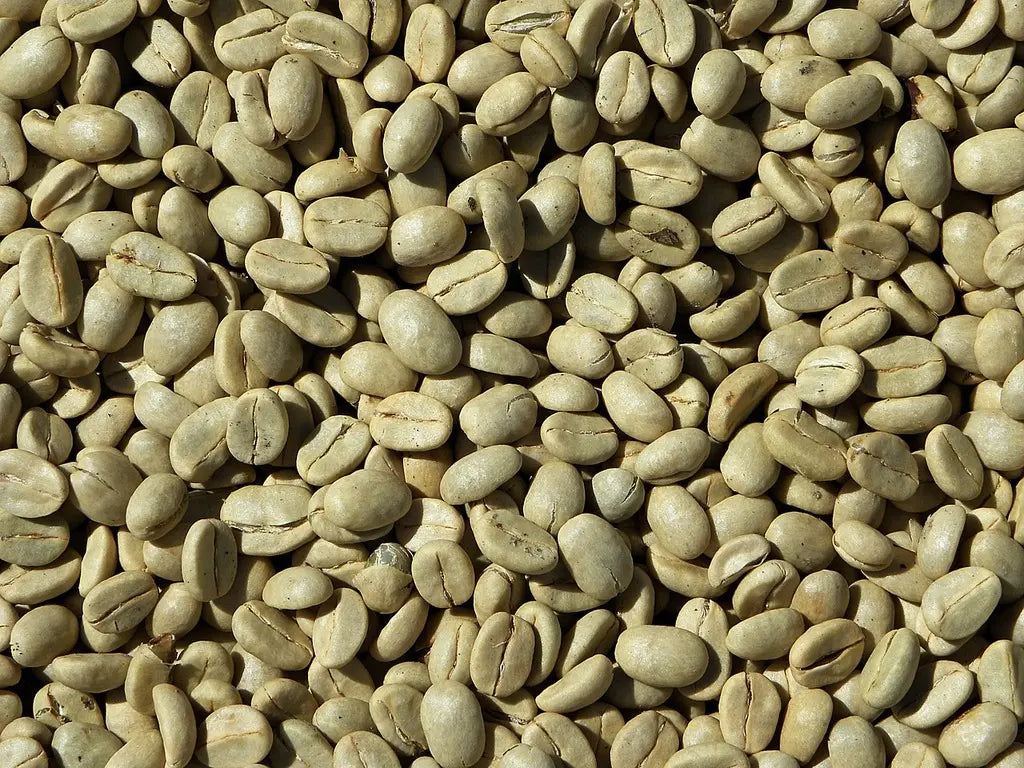 Arabica ile Robusta Arasındaki Fark Nedir? Hangisi Daha İyi?