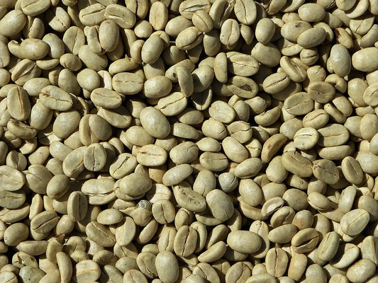 Arabica ile Robusta Arasındaki Fark Nedir? Hangisi Daha İyi?