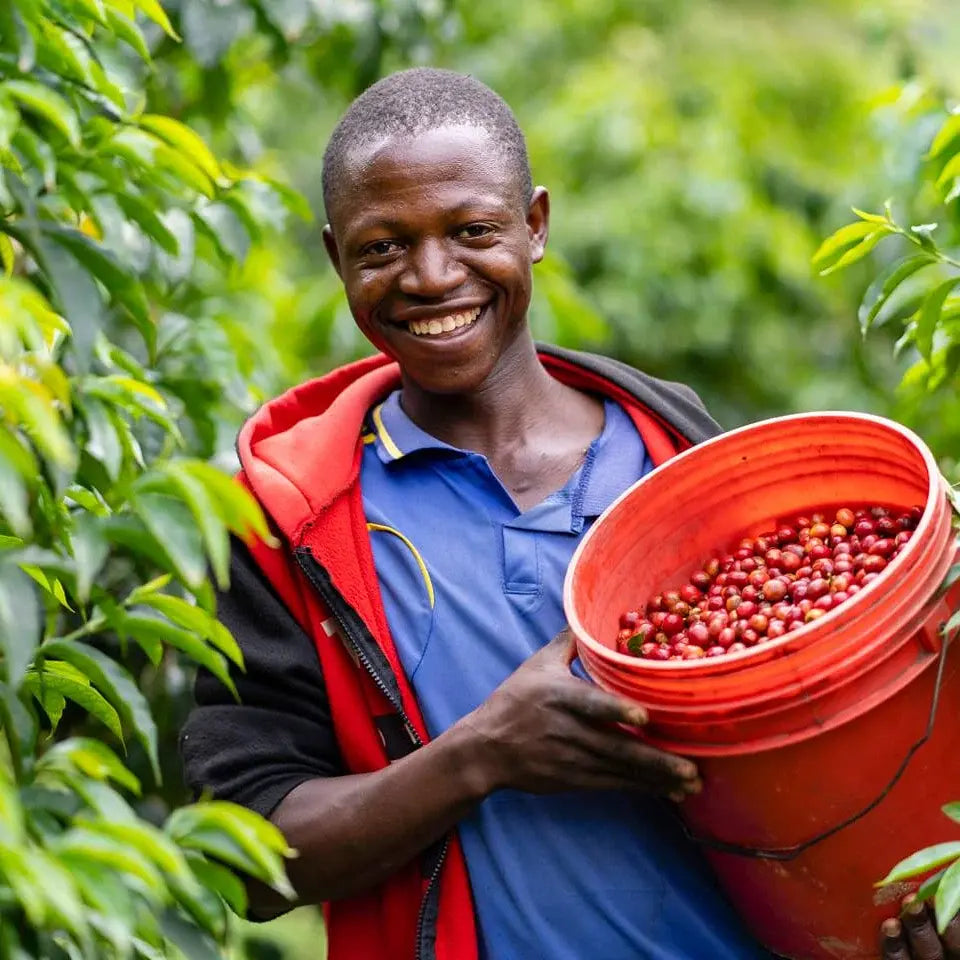 Burundi Kayanza Rumanda