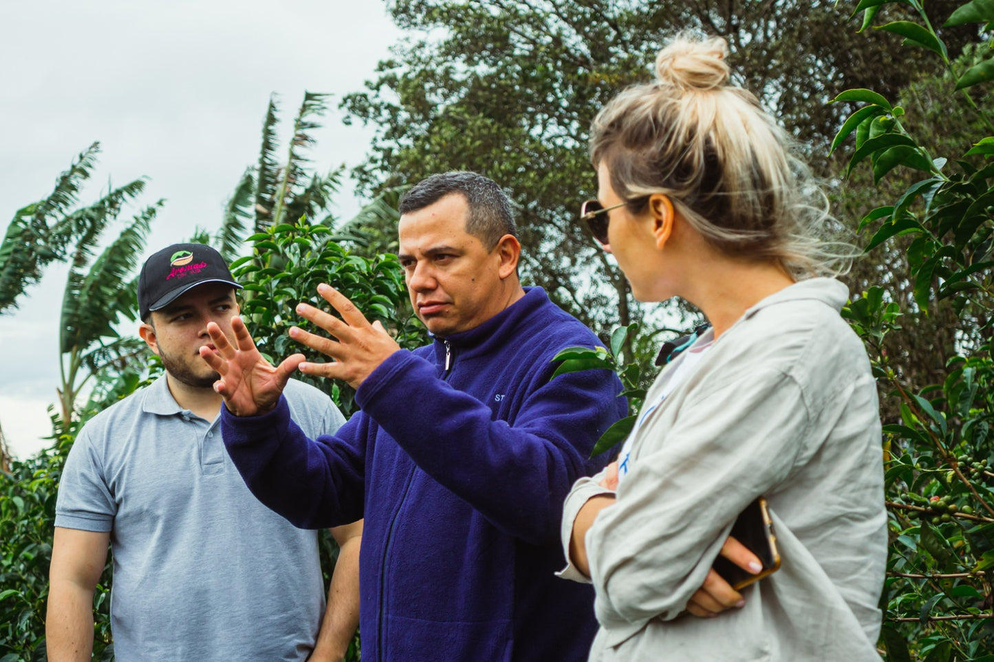 Kolombiya Huila Finca El Puente