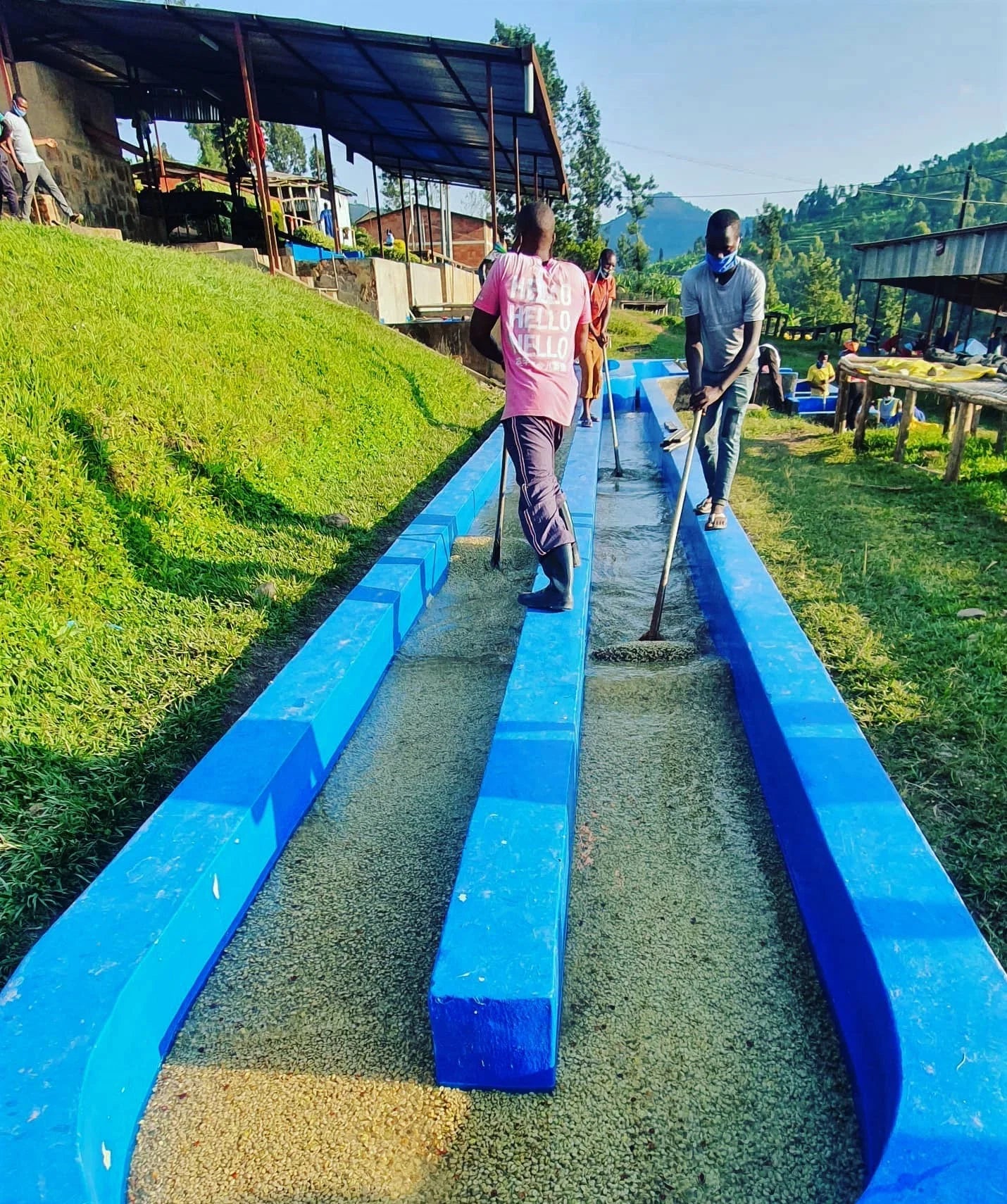 Ruanda Nyamasheke  Baho