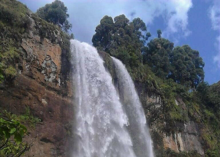 uganda sipi falls 250gr nitelikli kahve çekirdeği